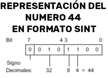 Ejemplo de como representar un número den formato SINT